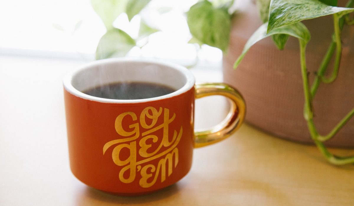 orange and white ceramic mug near green leaf plant with brown potted